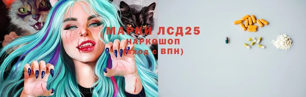 тгк Армянск