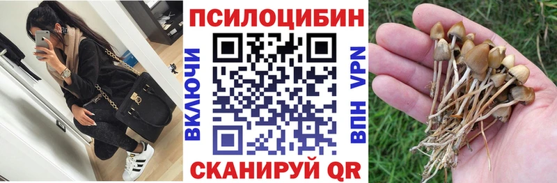 Псилоцибиновые грибы Psilocybe Макарьев
