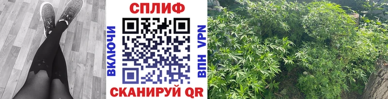 Шишки марихуана Amnesia  Макарьев 